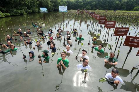 Biggest and BEST Guide to Volunteering in Indonesia (2024).